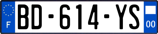 BD-614-YS