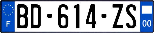 BD-614-ZS