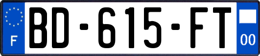 BD-615-FT