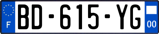 BD-615-YG