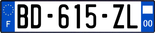 BD-615-ZL
