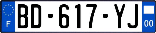 BD-617-YJ