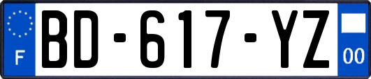 BD-617-YZ