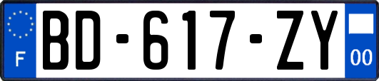 BD-617-ZY