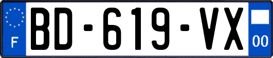 BD-619-VX
