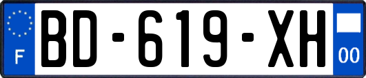 BD-619-XH