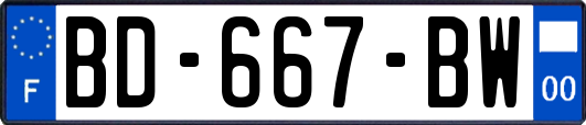 BD-667-BW