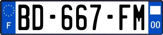 BD-667-FM