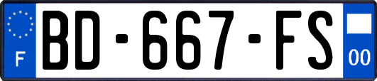 BD-667-FS