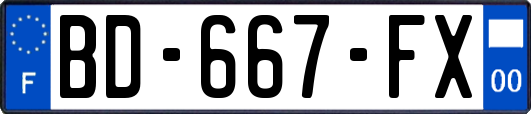 BD-667-FX