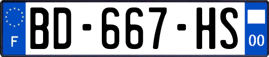 BD-667-HS