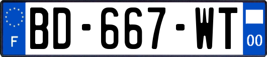 BD-667-WT