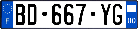 BD-667-YG