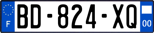BD-824-XQ