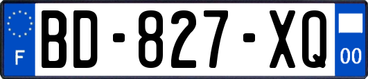 BD-827-XQ