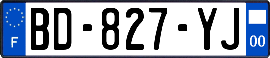BD-827-YJ