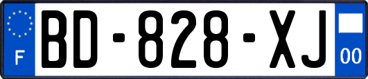 BD-828-XJ
