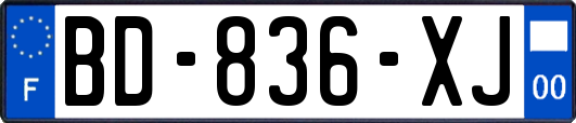 BD-836-XJ
