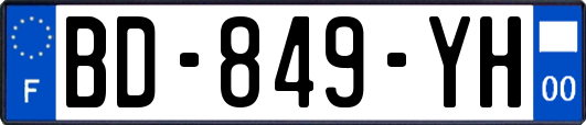 BD-849-YH