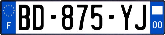 BD-875-YJ