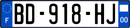 BD-918-HJ