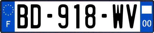 BD-918-WV