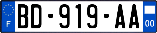 BD-919-AA