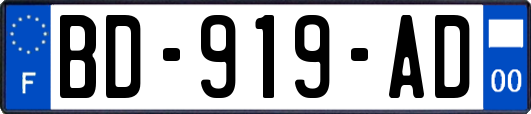 BD-919-AD