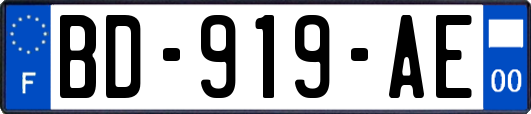 BD-919-AE