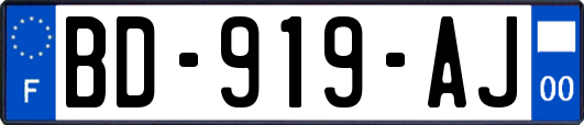 BD-919-AJ