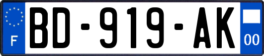 BD-919-AK