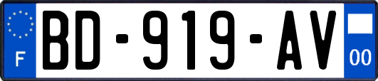 BD-919-AV