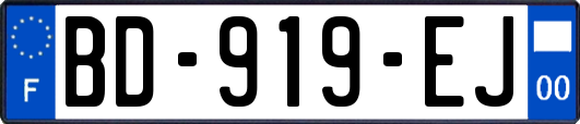 BD-919-EJ