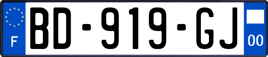 BD-919-GJ