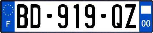 BD-919-QZ