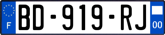 BD-919-RJ