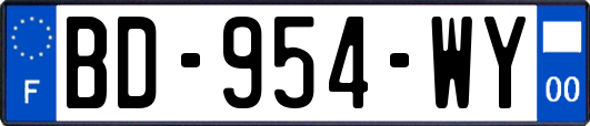BD-954-WY