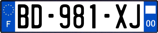 BD-981-XJ