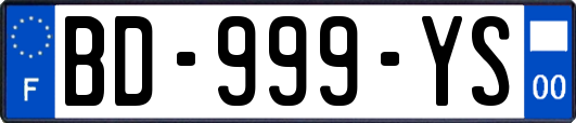 BD-999-YS