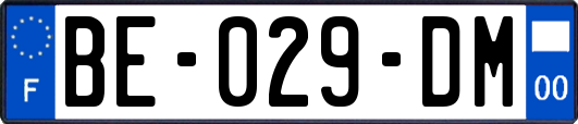 BE-029-DM