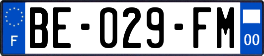 BE-029-FM