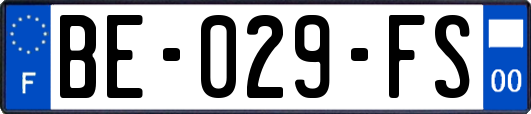 BE-029-FS