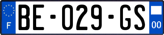 BE-029-GS