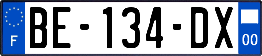 BE-134-DX