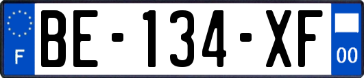 BE-134-XF