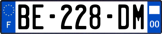 BE-228-DM