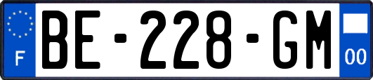 BE-228-GM