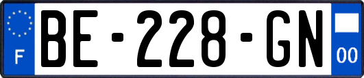 BE-228-GN
