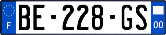 BE-228-GS