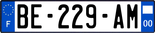 BE-229-AM